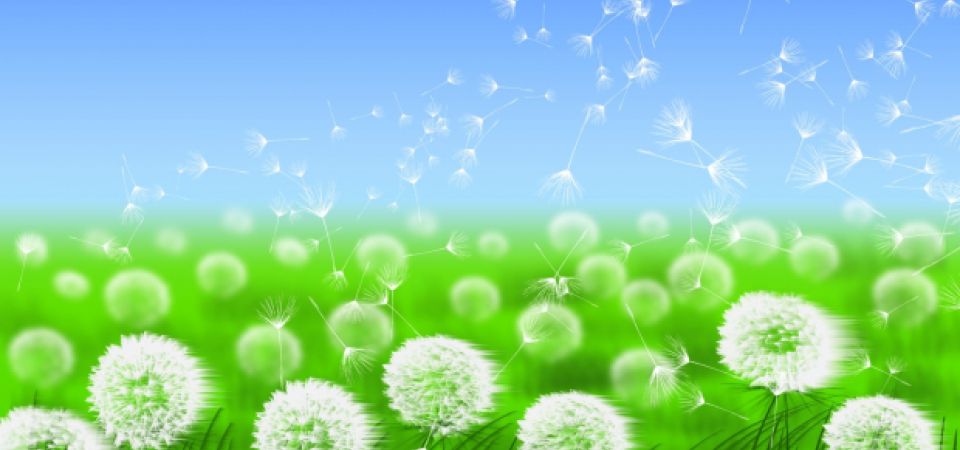 Somos respetuosos con el medio ambiente